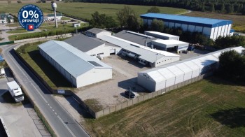 Grunt inwestycyjny na sprzedaż Piotrków Trybunalski, Niechcice